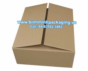 Customized Corrugated Carton