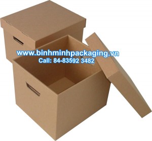 Custom carton box