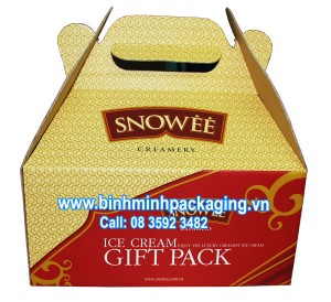 Home page 13 ice cream packaging box