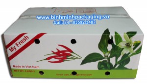 Home page 12 IMG 3125