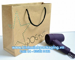 custom Paper Bag for Cloth1