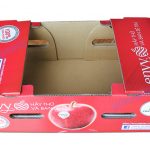 Hight quality Corrugated apple fruit packaging boxes - img03