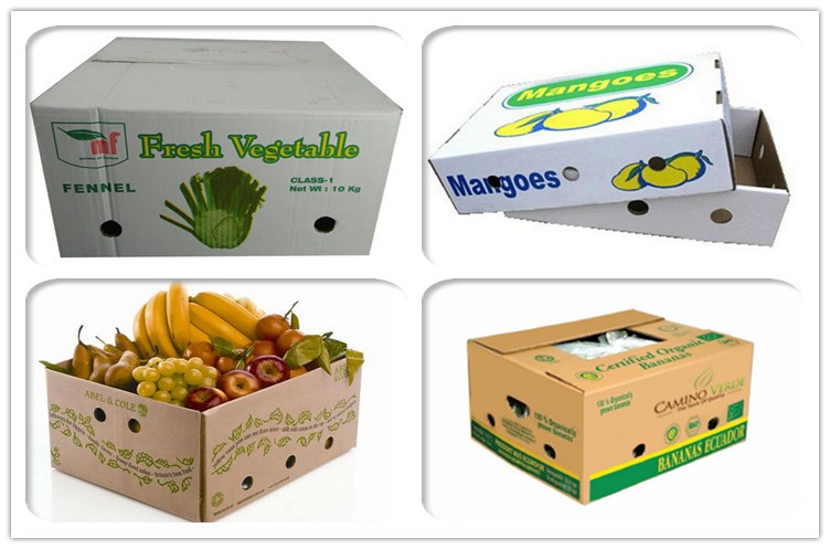 Corrugated Packing Carton Boxes for vegetable and fruit 