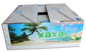 Coconut Fruit packaging boxes - img01