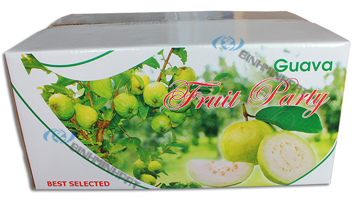 Guava Fruit Packaging Boxes