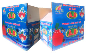 Fresh Dragon fruit packaging carton box - img-03