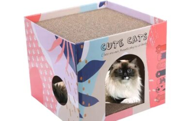 Heavy-Duty Cat Cardboard House Extra Strong, Long-Lasting & Scratch-Resistant for Playful Cats