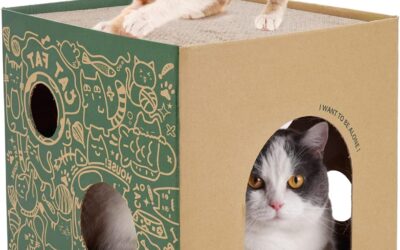 Foldable Cardboard Cat House & Bed Cozy Cube Cave with Catnip & 2 Removable Scratchers (Yellow)