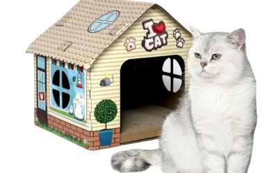 Luxury Cat Cardboard House with Unique Design Best Cozy Shelter & Playhouse for Indoor Cats