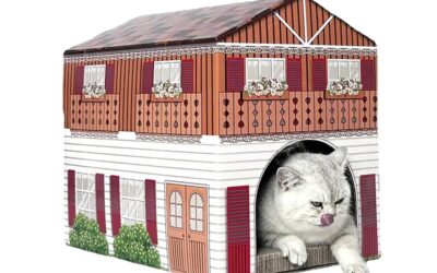 Big Paperboard Cat House with Window as Playing or Sleeping Place of Cardboard for Kittens