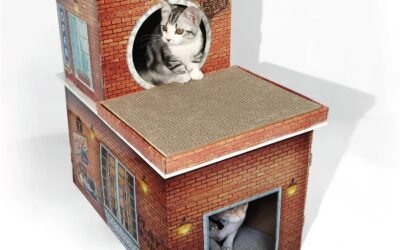 Large Cat Cardboard House for Multiple Cats Spacious, Durable & Perfect for Play and Rest